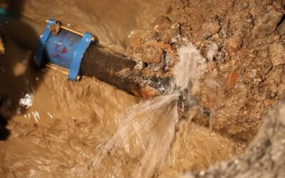 Detect a water leak & save your money